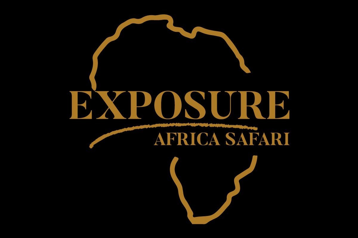 exposure-africa-safari-arusha-all-you-need-to-know-before-you-go