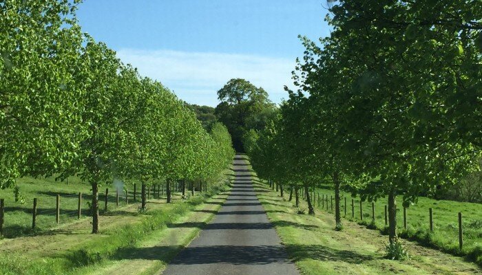 Driveway