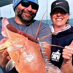 Captain Dennis Wilson Fishing Charters - All You Need to Know