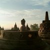 Merahputih transport&tour