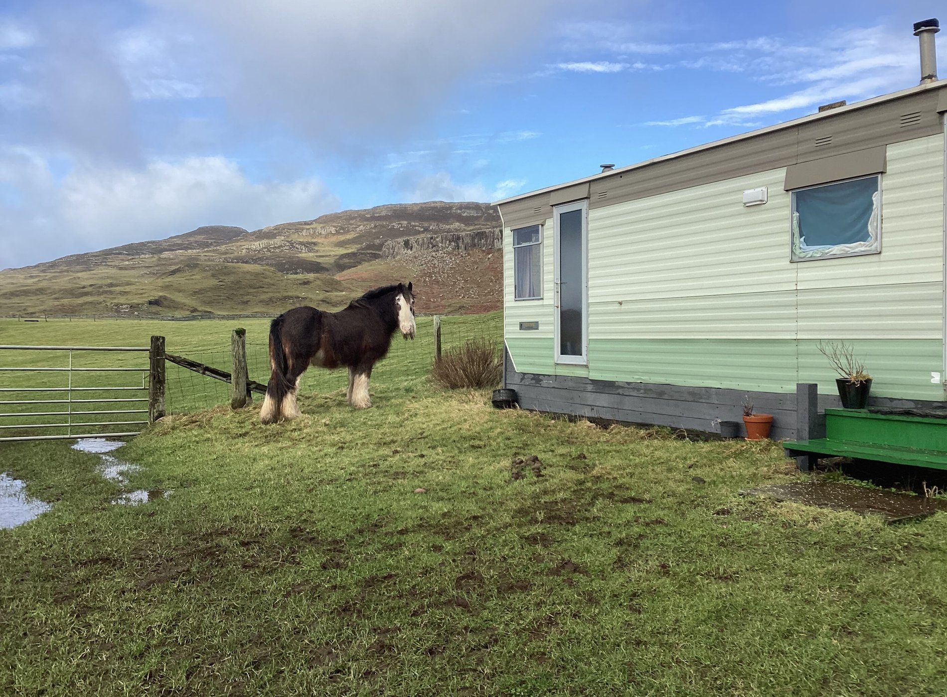 Canna Campsite by null