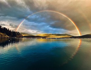 Brown's Bay Resort in Vancouver Island