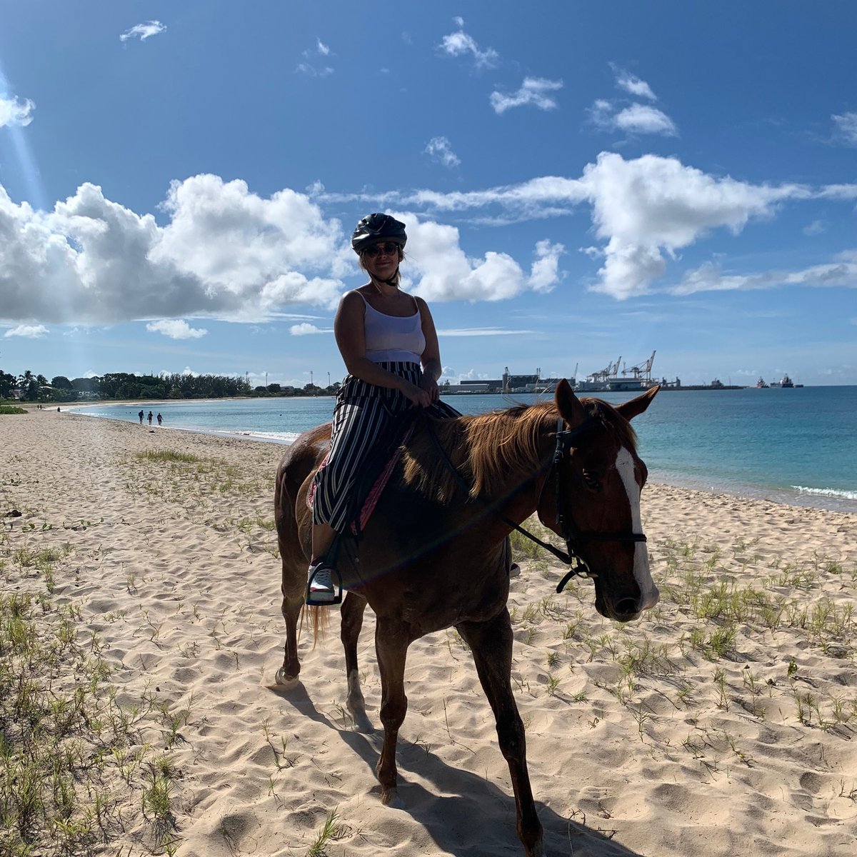 SANDY TURF STABLES BARBADOS (Christ Church Parish) - All You Need to ...