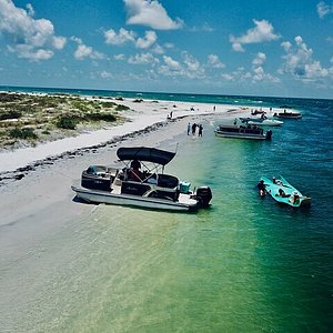 Honeymoon Island State Park  Visit St Petersburg Clearwater Florida