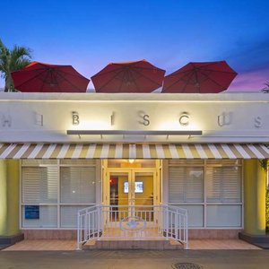 Best Western Hibiscus Motel in Key West, image may contain: Canopy, Awning, Villa, Tree