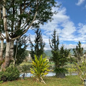 Skillfully cared garden