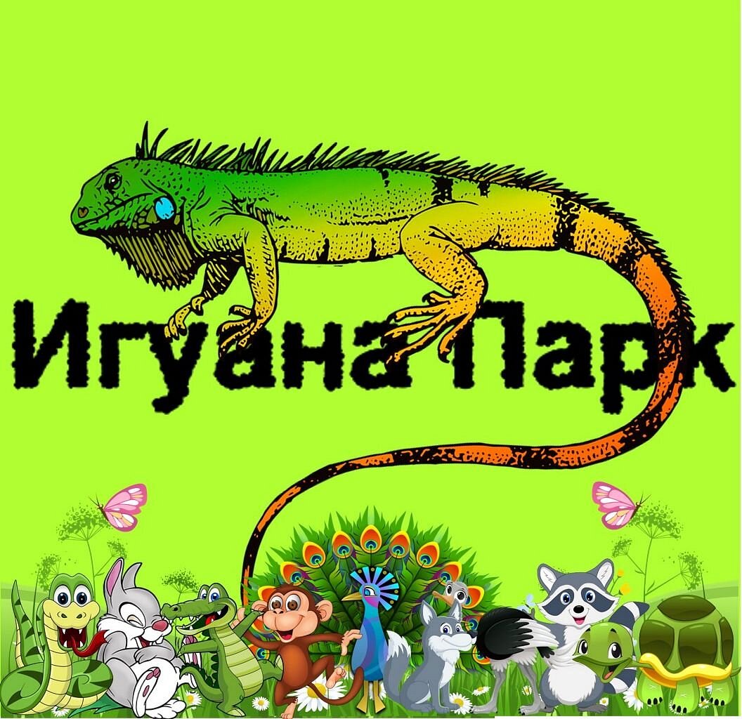 игуана парк анапа