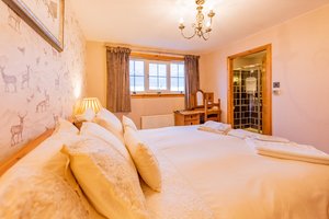 Room & Suite