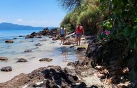 As melhores trilhas em Ponta das Canas, Santa Catarina (Brasil)