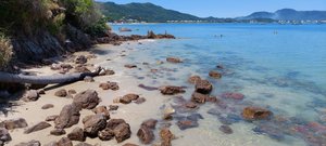 As melhores trilhas em Ponta das Canas, Santa Catarina (Brasil)