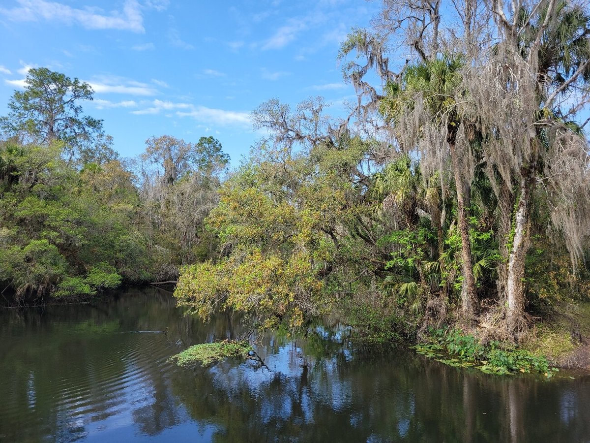 Lower Hillsborough Wilderness Preserve (Thonotosassa) - All You Need to ...