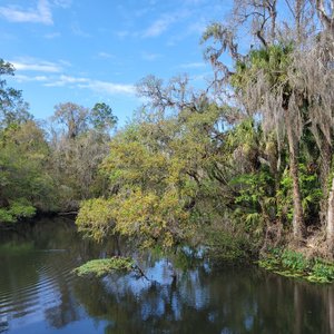 HILLSBOROUGH RIVER STATE PARK (Thonotosassa) - All You Need to Know ...