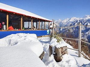 Blue Poppy Resort in Auli, image may contain: Tree, Shelter, Outdoors, Person