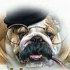 Marcel B