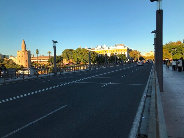 Imagen 8 de Puente de San Telmo