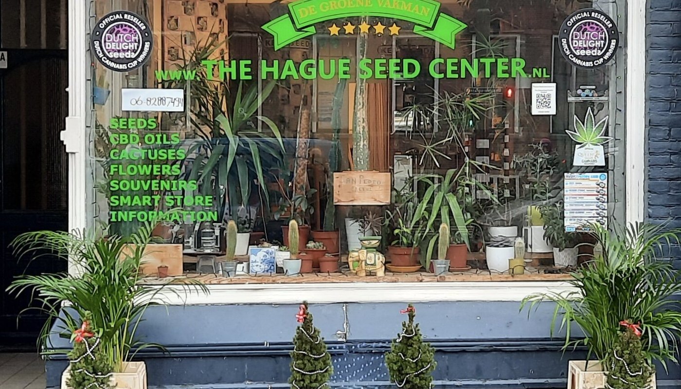 The Hague Seed Center Holland (2025) - All You Need to Know BEFORE You Go (with Reviews)