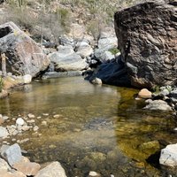 Sabino Canyon (Tucson) - All You Need to Know BEFORE You Go