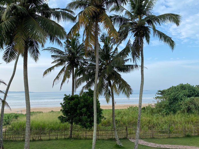 360 SURF WELIGAMA BAY - Updated 2023 Prices & Lodging Reviews (Sri Lanka)