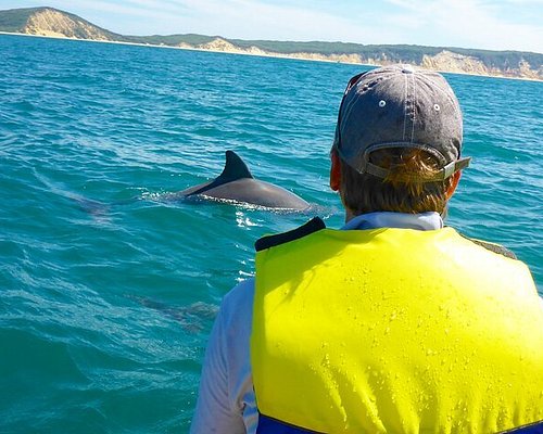 fraser island explorer day tour