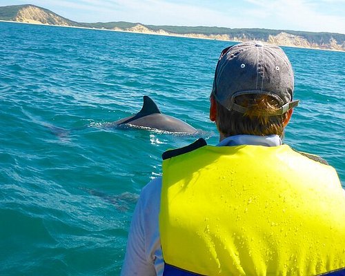 fraser island tour book