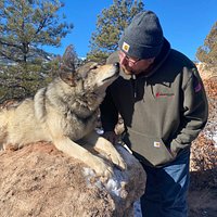 Colorado Wolf Adventures (Woodland Park) - All You Need to Know BEFORE ...