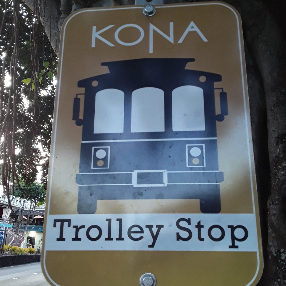 Kona Trolley, КаилуаКона лучшие советы перед посещением Tripadvisor