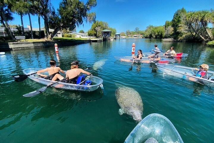 2024 Clear Kayak Tour of Crystal River