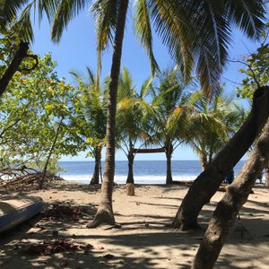Playa Samara