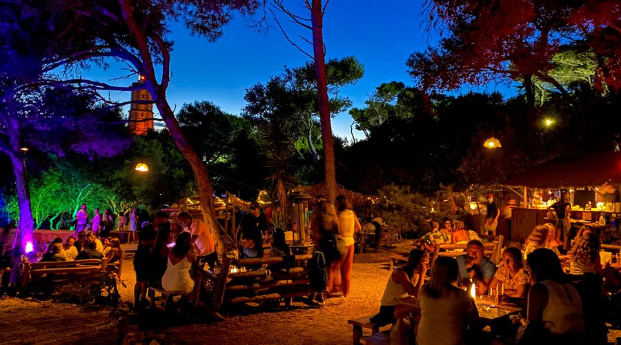 A noite no Palaphita Cascais é incrível! Faça a sua reserva,