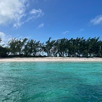 Bahamas Ocean Safaris (Eleuthera) - All You Need to Know BEFORE You Go