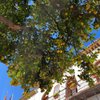 Bristol_Traveller
