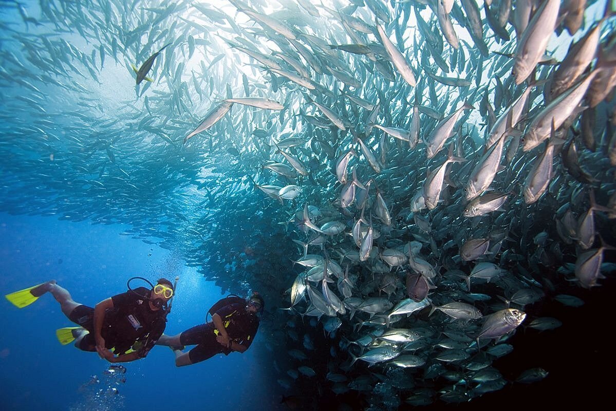 Diving centre