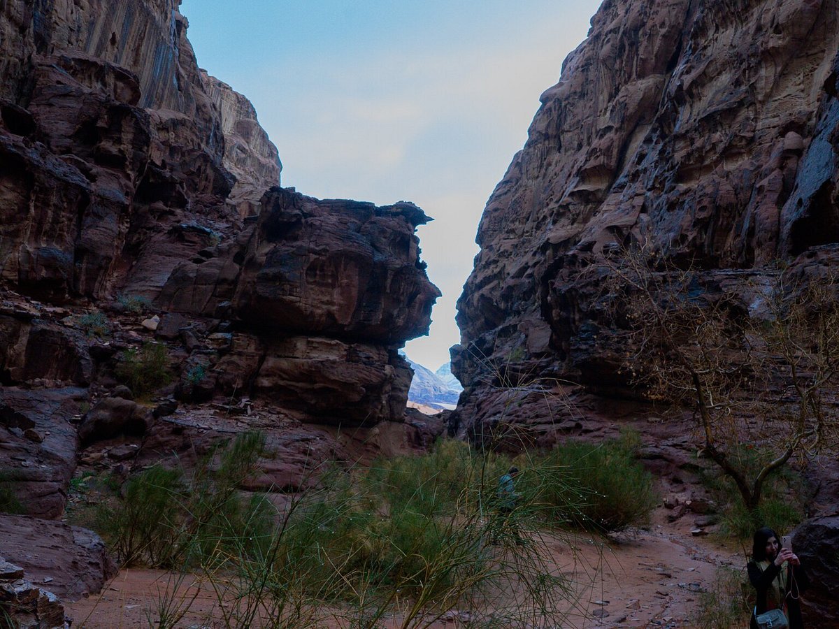 wadi rum sky tours