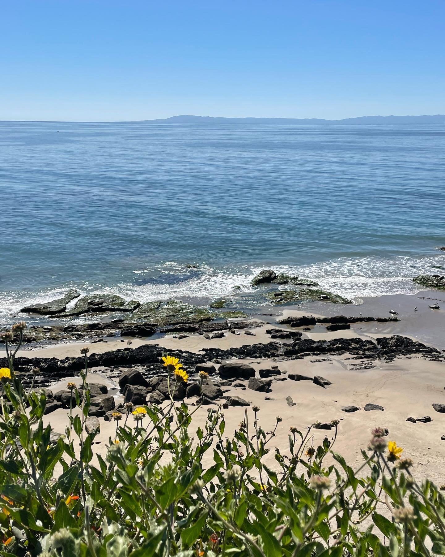 Carpinteria Harbor Seal Preserve And Rookery - 2022 All You Need To ...