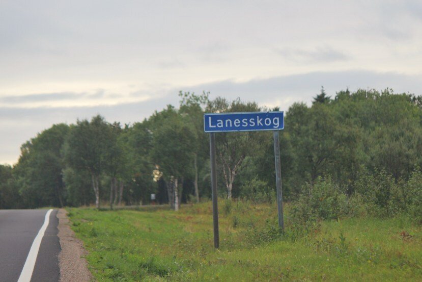 Lanesskog (Risoyhamn): All You Need to Know BEFORE You Go