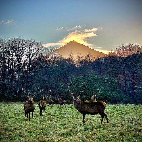 Winter Break - Review of Loch Rannoch Hotel and Estate, Kinloch Rannoch ...