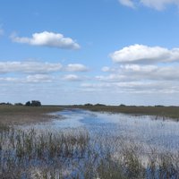 Everglades Safari Park (Miami) - All You Need to Know BEFORE You Go