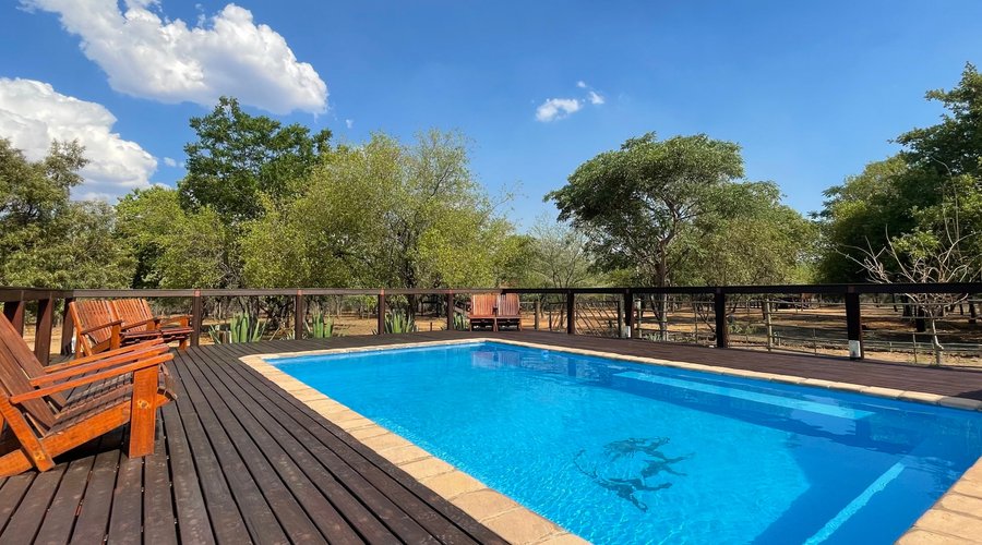 La piscine disponible pour nos clients ...