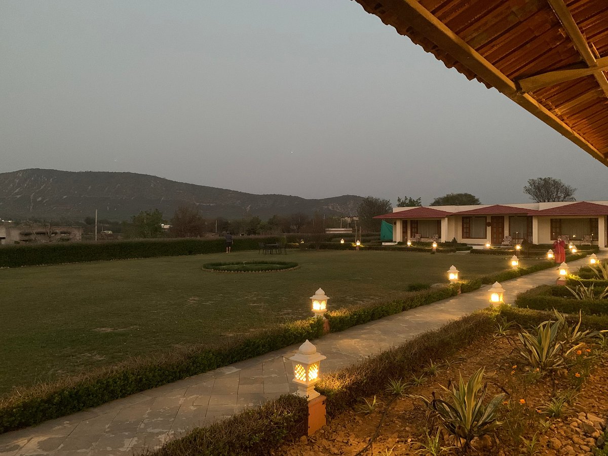 sariska safari lodge reviews