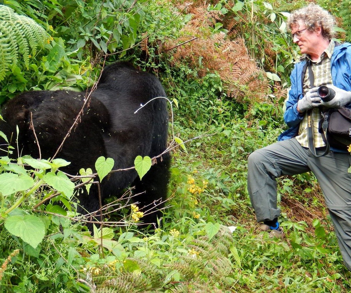 Climax Nature Experience - O que saber antes de ir (2024)