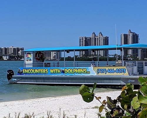 yacht tours tampa