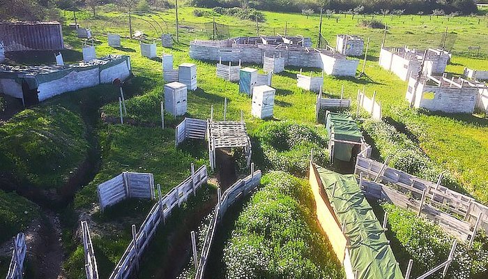 5 hectares, 9 terrains