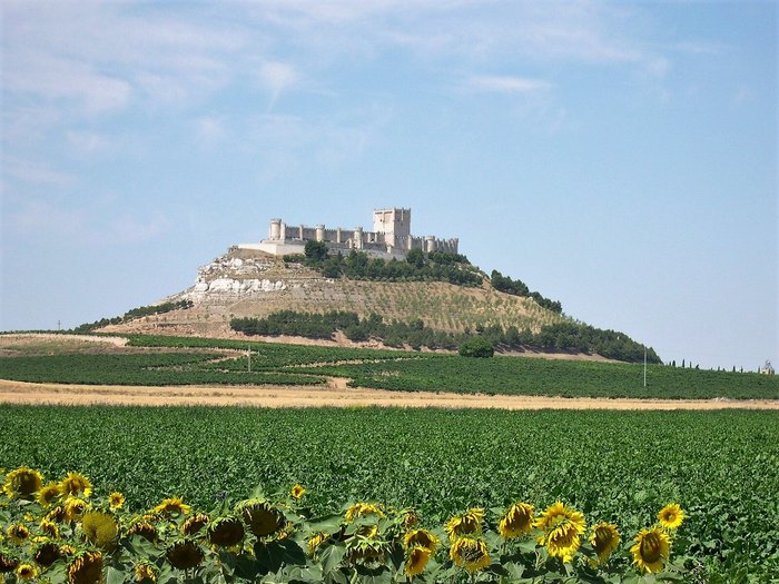 Imagen 7 de Castillo de Peñafiel