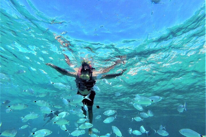 PowerDive Snorkel パワーシュノーケル スキューバダイビング PowerDive Snorkel パワーシュノーケル スキューバダイビング