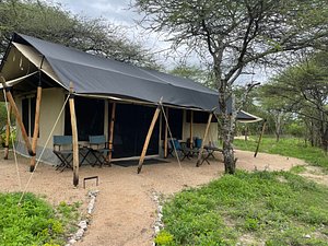 Legendary Songa Migrational Camp - The Africa Adventure Company