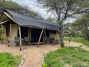 Tent at Legendary Serengeti Mobile Camp - Tanzania Safari Tours: Ultimate  Northern Circuit Package - Africa Endeavours