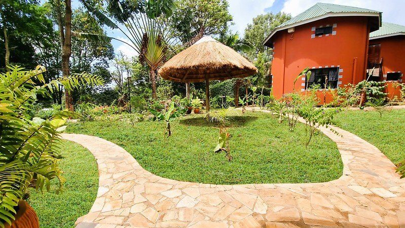 Tropical garden. 