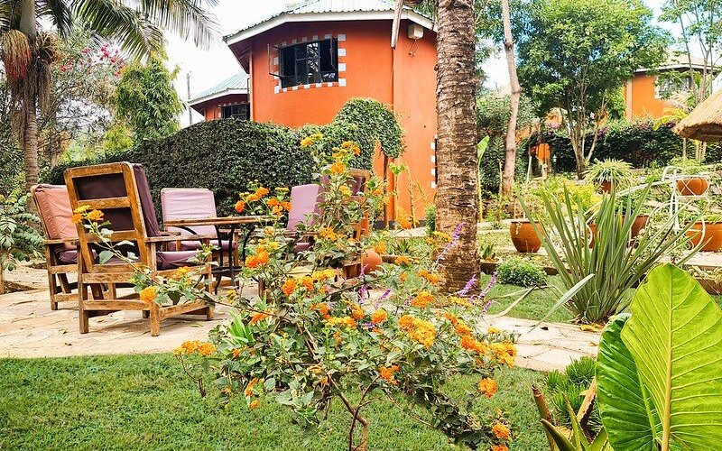 Tropical Garden. 