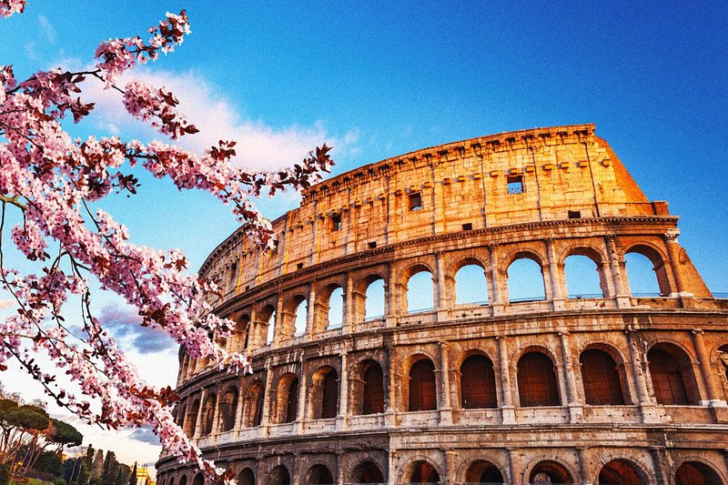 Vårblommor framför Colosseum i Rom
