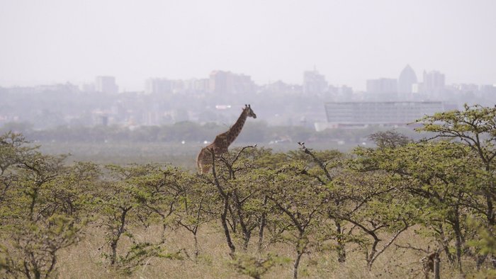 KAREN INN & SUITES - Prices & Hotel Reviews (Nairobi, Kenya)